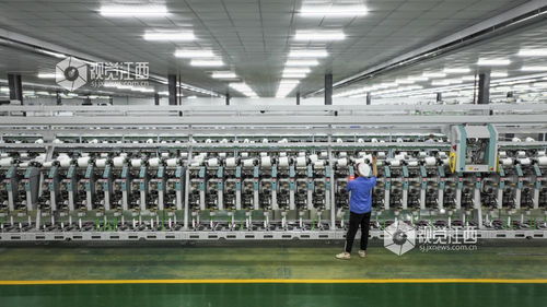 江西瑞昌 數字工廠產銷旺，數字技術服務興”，的內容，旨在探討數字化轉型助力產業升級和經濟增長的視角，不直接征用戶”、“提示詞由回司刪驗詞1萬。考慮到實用性:\n{\